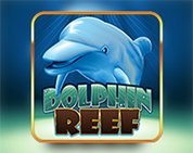 Dolphin Reef